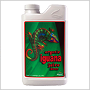 Iguana Juice Bloom Iguana Juice Bloom
